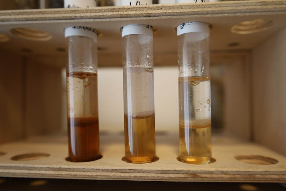 Nahaufnahme dreier Probengläser mit goldgelbem ätherischem Öl über dem Hydrolat