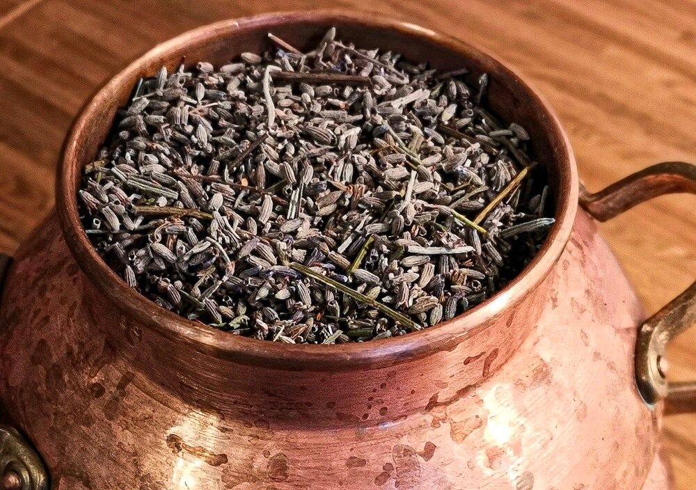 Lavendelblüten in der Destille zur Gewinnung von Lavendelhydrolat