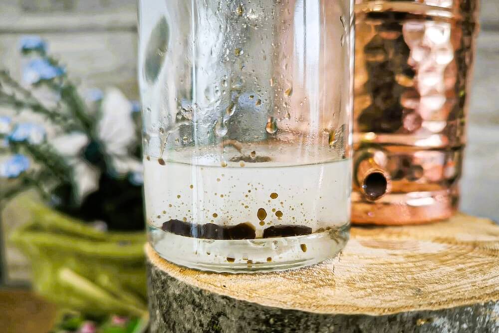 Fertig destillierte Pflanzenwässer in Glasflaschen nach der Destillation