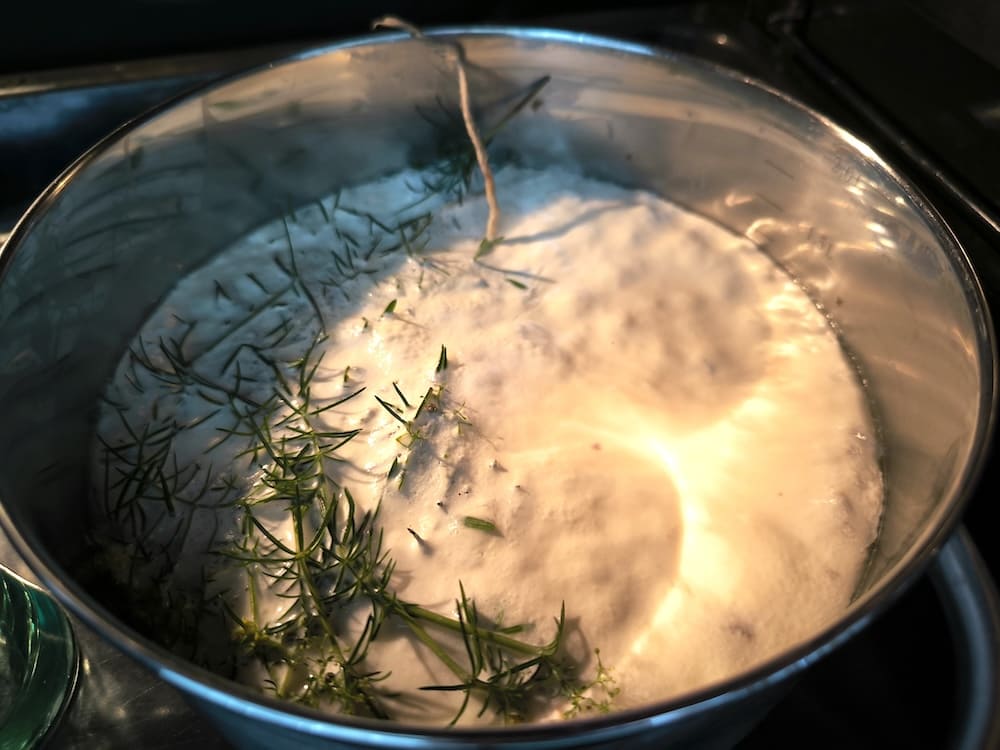 Gestockte Milch mit Labkraut nach der Ruhezeit im Backrohr Gestockte Milch mit Labkraut nach der Ruhezeit im Backrohr