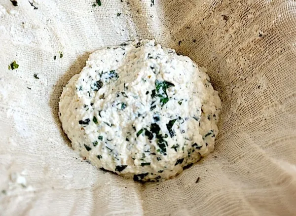 Mit Wildkräutern vermischter Frischkäse in einem Mulltuch