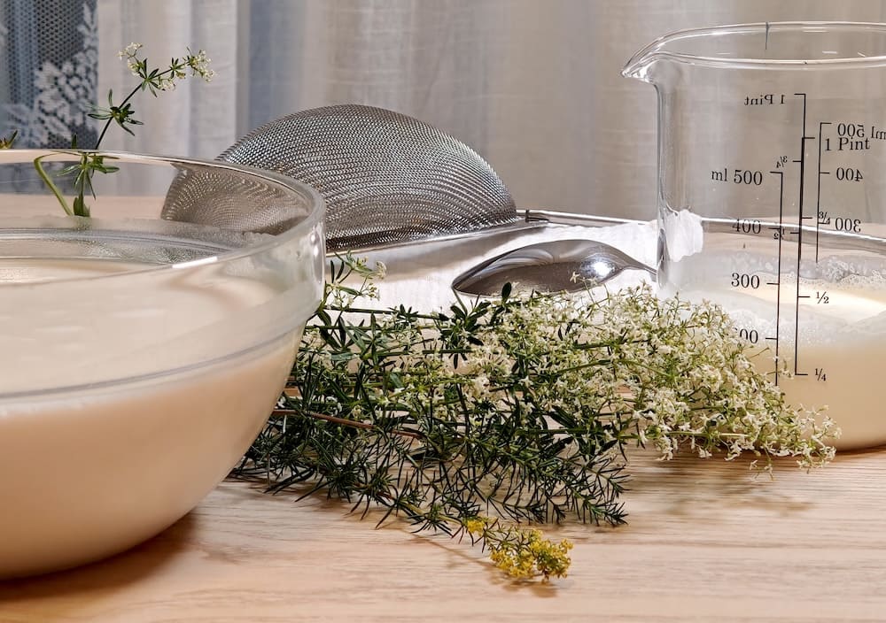 Glasschüssel mit Milch, Sieb, Messbecher und frisches Labkraut als Ausrüstung für die Frischkäseherstellung Glasschüssel mit Milch, Sieb, Messbecher und frisches Labkraut als Ausrüstung für die Frischkäseherstellung