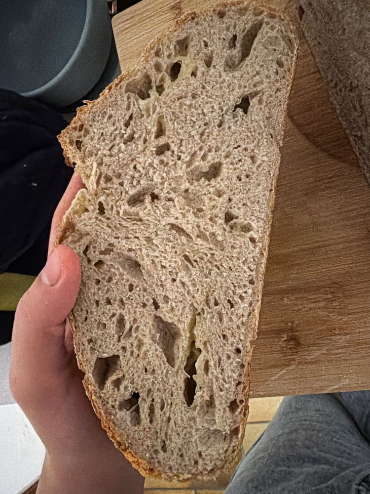 Angeschnittenes Sauerteigbrot mit lockerer, gleichmäßiger Porung