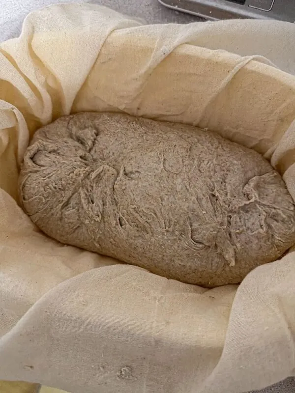 Geformter Brotlaib im Gärkörbchen vor dem Backen