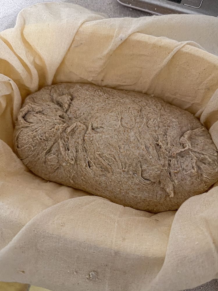 Geformter Brotlaib im Gärkörbchen vor dem Backen