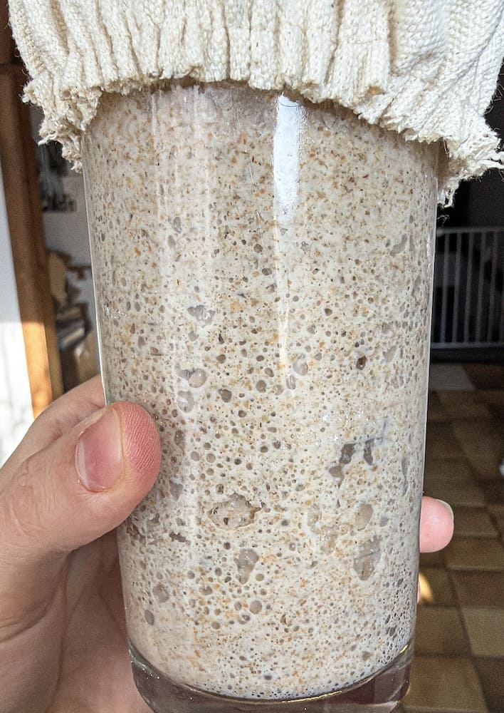 Aktiver Sauerteig-Starter mit deutlicher Blasenbildung im Glas
