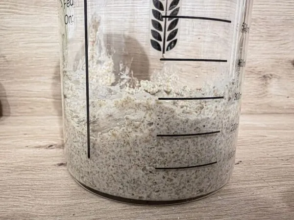 Sauerteig-Starter aus Mehl und Wasser wird im Glas angesetzt