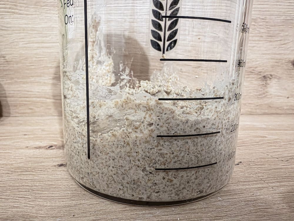 Sauerteig-Starter aus Mehl und Wasser wird im Glas angesetzt
