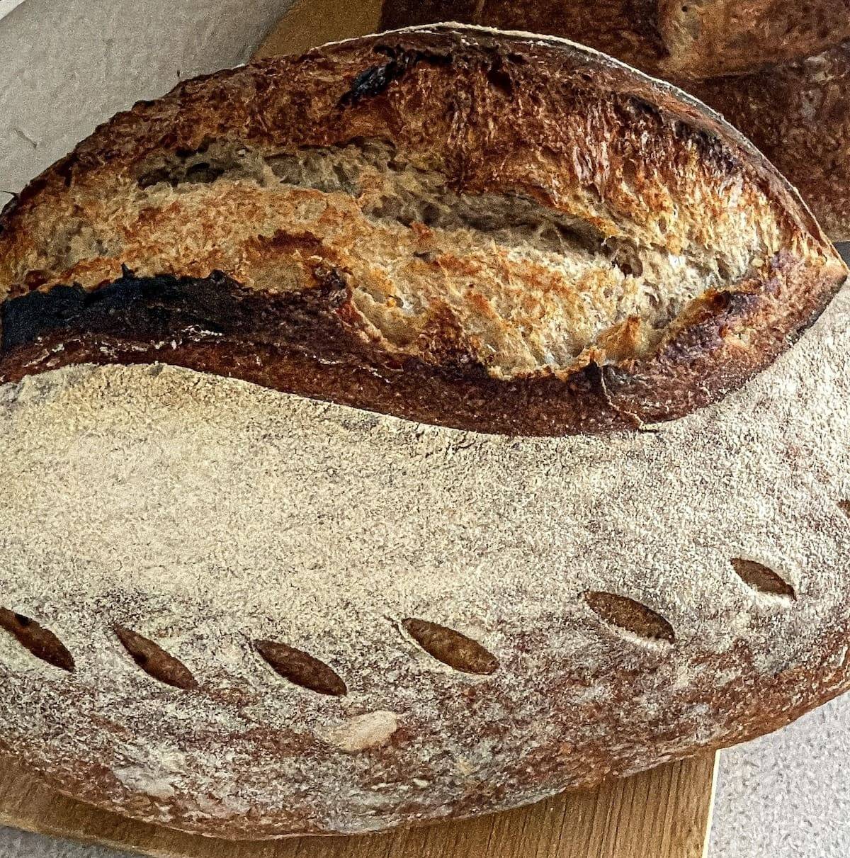 Frisch gebackenes Sauerteigbrot mit bemehlter Kruste und aufgesprungenen Einschnitten