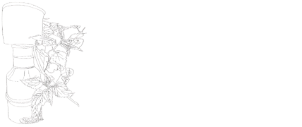 Pflanzen-Handwerk – Uraltes Pflanzenwissen, handwerklich veredelt